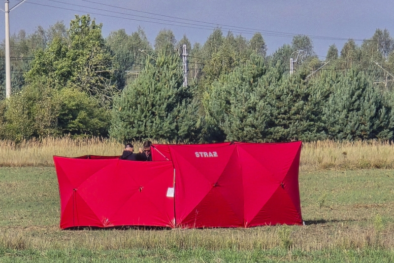 «Примитивная провокация»: как в Москве и мире отреагировали на инцидент с «российскими дронами» в Польше