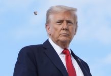 Reuters: реакция Трампа на инцидент с БПЛА в Польше встревожила НАТО