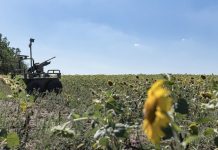 РИА Новости: передовые позиции ВСУ на Харьковском направлении остались без связи