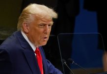 WSJ: Трамп получил данные о якобы планируемом наступлении ВСУ