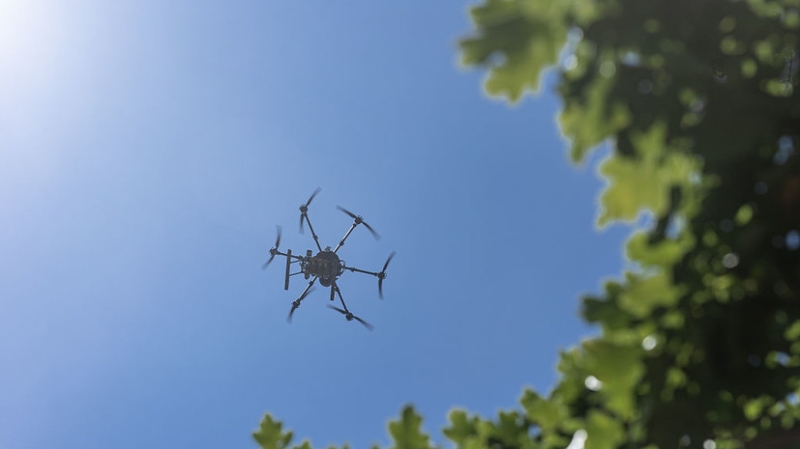 За ночь над регионами России сбиты 80 украинских БПЛА