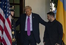 Азаров сообщил, что США могут принять радикальные меры по устранению Зеленского