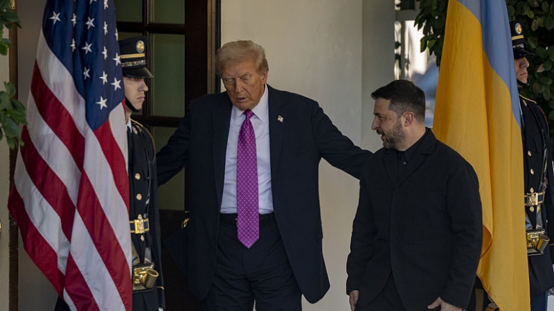 Азаров сообщил, что США могут принять радикальные меры по устранению Зеленского