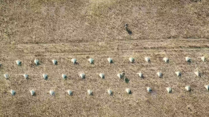 Фронтовой кешбэк: RT пообщался с гвардейцами, которые готовят пополнение для группировки войск «Восток»