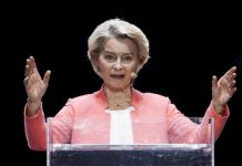 FT: Макрон язвительно раскритиковал инициативу фон дер Ляйен о «стене дронов»