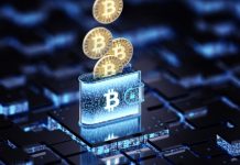 В Госдуме предложили признавать криптовалюту совместно нажитым имуществом