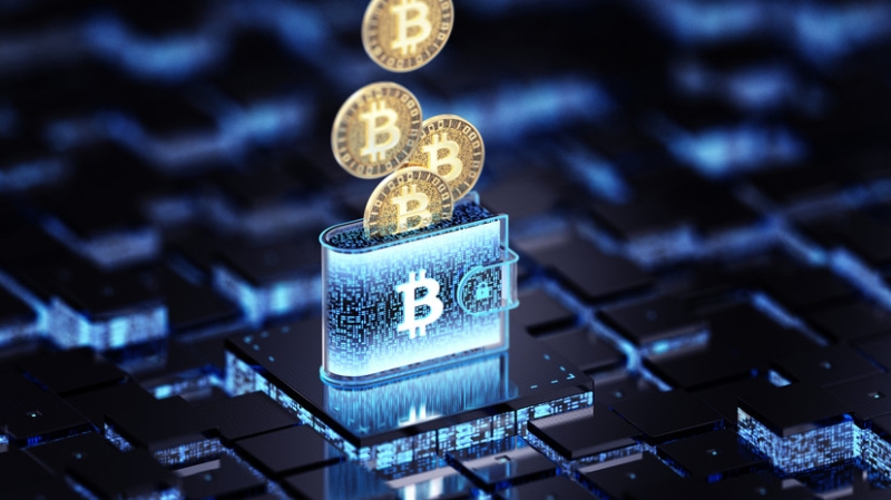 В Госдуме предложили признавать криптовалюту совместно нажитым имуществом