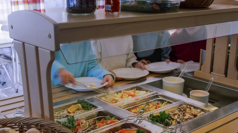 В Госдуме предложили ввести в российских школах шведский стол