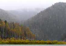 Волонтёр заявила о странных нестыковках в исчезновении семьи Усольцевых в Сибири