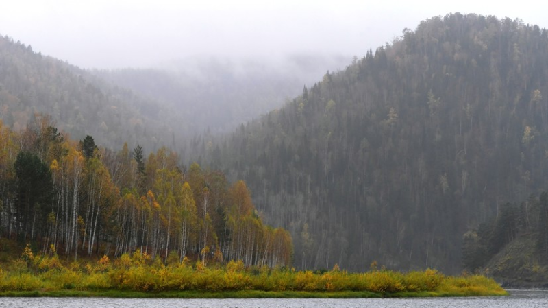 Волонтёр заявила о странных нестыковках в исчезновении семьи Усольцевых в Сибири