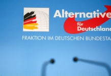 Депутат АдГ Котре приехал на симпозиум в Россию вопреки недовольству ЕС