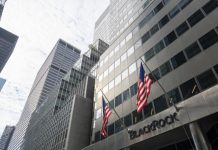 «Имеет щупальца повсюду»: как финансовый монстр США BlackRock скупает банки, предприятия и земли Украины