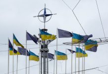 «Мафиозная сеть с Зеленским»: Венгрия отказалась финансово поддерживать Украину на фоне коррупционного скандала