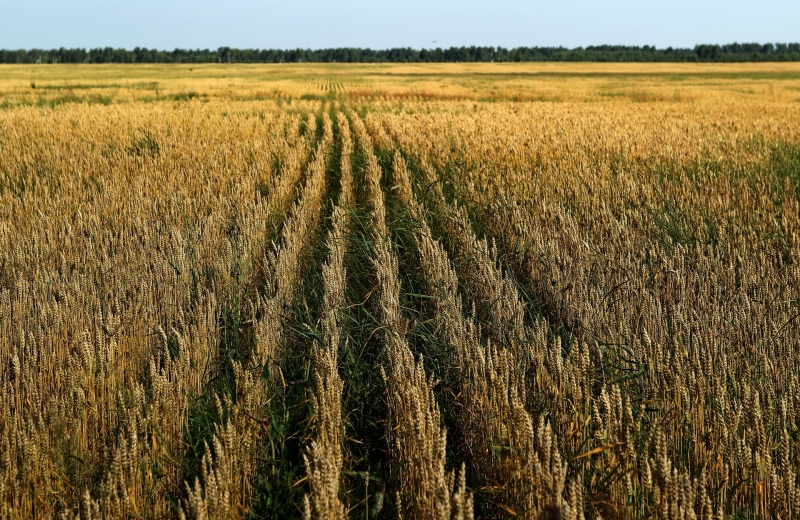 «Незатронутых отраслей не будет»: эксперт — о мерах адаптации экономики к глобальному потеплению