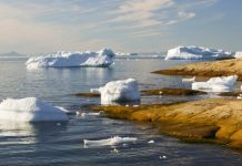 «Незатронутых отраслей не будет»: эксперт — о мерах адаптации экономики к глобальному потеплению