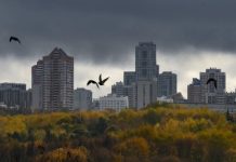 Последние аномально тёплые выходные: синоптики рассказали, когда в Московском регионе выпадет первый снег