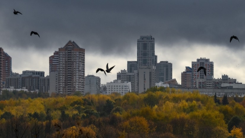 Последние аномально тёплые выходные: синоптики рассказали, когда в Московском регионе выпадет первый снег