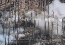 RT показал кадры уничтожения ВСУ в Купянске