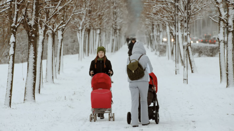 Сенатор: с 2026 года стартует новая форма господдержки для семей с детьми