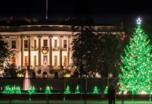 В США проведут церемонию зажжения главной ёлки, несмотря на теракт у Белого дома