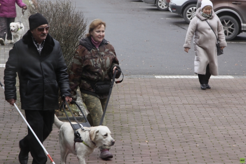 Вишенка для героя: как чёрный лабрадор стал лучшим другом для бойца СВО из Бурятии
