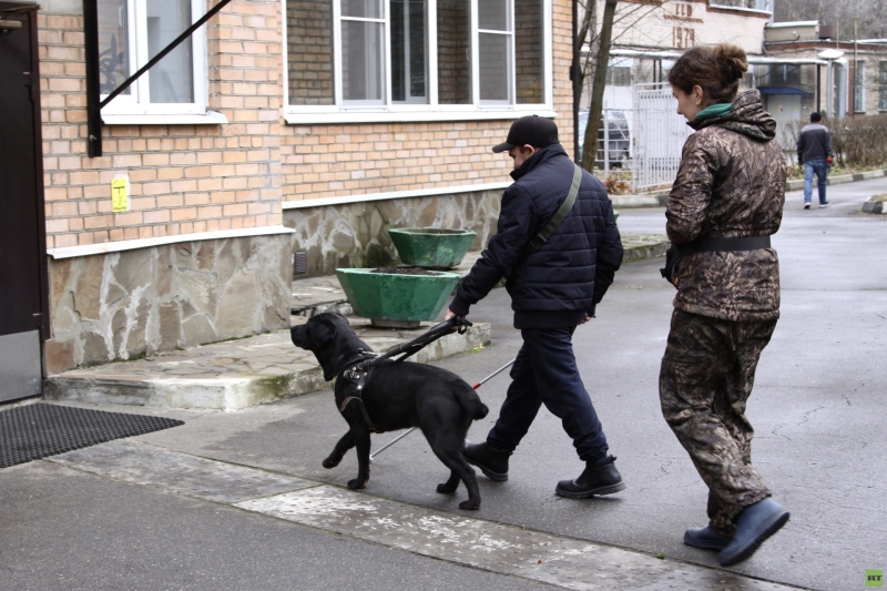Вишенка для героя: как чёрный лабрадор стал лучшим другом для бойца СВО из Бурятии
