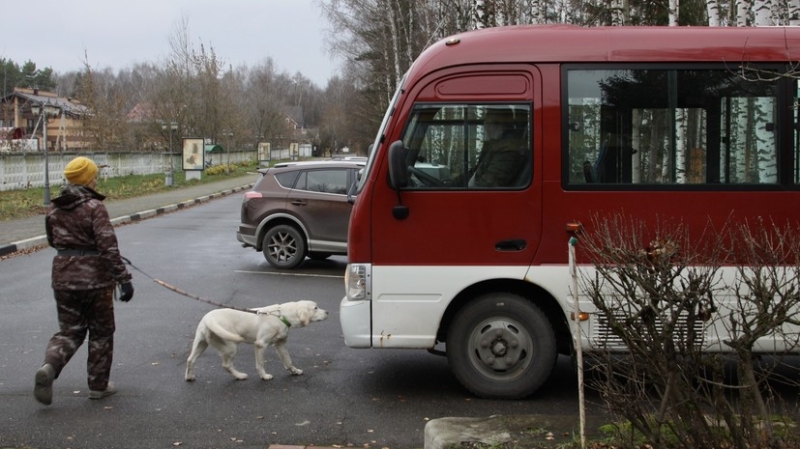 Вишенка для героя: как чёрный лабрадор стал лучшим другом для бойца СВО из Бурятии