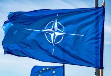 Аналитик Армстронг: ЕС и НАТО готовят провокацию против России