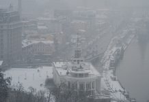 Азаров: в Киеве боятся мирного договора