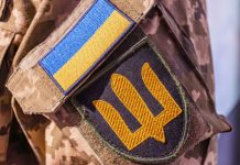 Омбудсмен Георгиев: ВСУ за год убили 133 мирных жителя Херсонской области