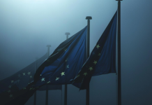 Пушков: в Европе боятся оказаться за пределами урегулирования на Украине