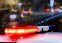 РЕН ТВ: в Москве автомобиль сбил экс-советника Горбачёва Славина