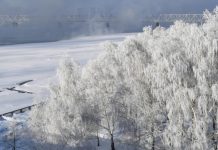 Вильфанд: в декабре температура выше нормы прогнозируется в шести регионах России
