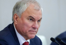 Володин: ГД рассмотрит ограничения для скрывающихся за рубежом преступников