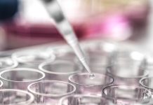 Врач Вахрушева назвала регионы, где чаще всего выявляют гонконгский грипп