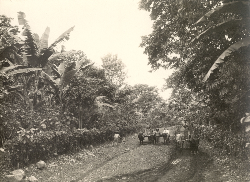 «Чем больше на них давили, тем сильнее они сопротивлялись»: герои и предатели народов Латинской Америки