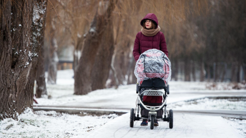 Депутат Бессараб: с 1 февраля в России будет проиндексирован маткапитал