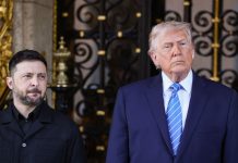 Кушнер: Трамп и Зеленский уладили большинство вопросов по гарантиям Киеву