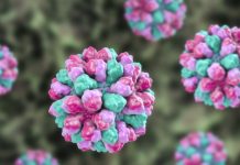 Норовирус выявили у массово заболевших людей в Костромской области