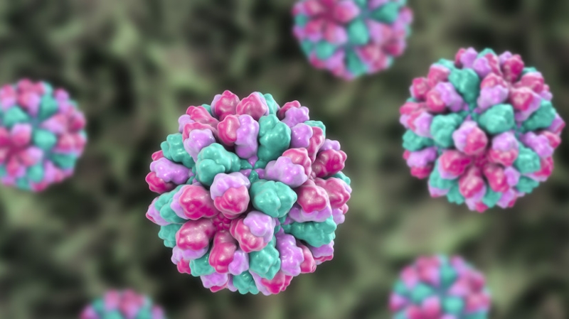 Норовирус выявили у массово заболевших людей в Костромской области