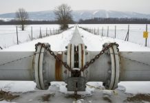 «Подкупить США, чтобы не забирали Гренландию»: в ЕС пообещали полностью отказаться от российского газа в 2027 году