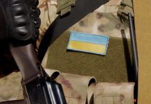 Политик Мема призвал Украину отказаться от милитаризации