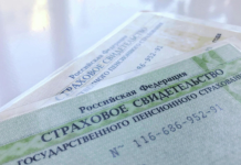 Россиянам объяснили, что изменилось в правилах работы с ИНН с 2026 года