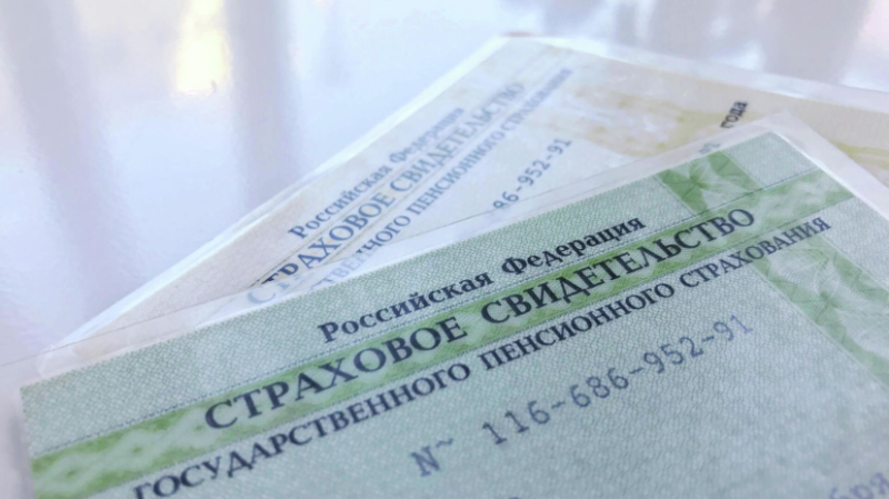 Россиянам объяснили, что изменилось в правилах работы с ИНН с 2026 года