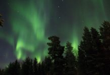 Северное сияние возникло над небом России после вспышки на Солнце