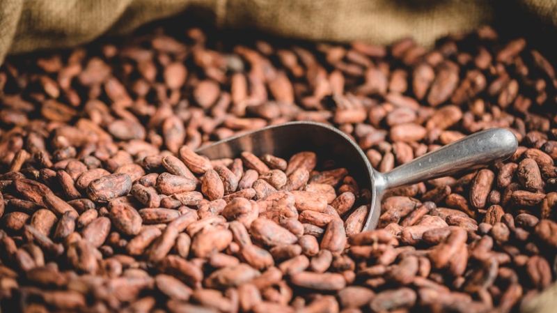 Сладкие надежды: как резкое снижение мировых цен на какао может отразиться на стоимости шоколада в России