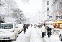 Снежный коллапс: в Венгрии заявили, что суровая зима поставила Западную Европу на колени