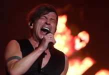 Сын солиста группы «Би-2» Бортника получил гражданство Молдавии по указу Санду