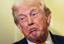 Трамп заявил, что поддержал законопроект о введении новых санкций против России