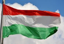 Венгрия отказалась поддержать заявление ЕС по Гренландии